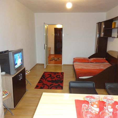 Alina Accommodation 加拉茨 外观 照片