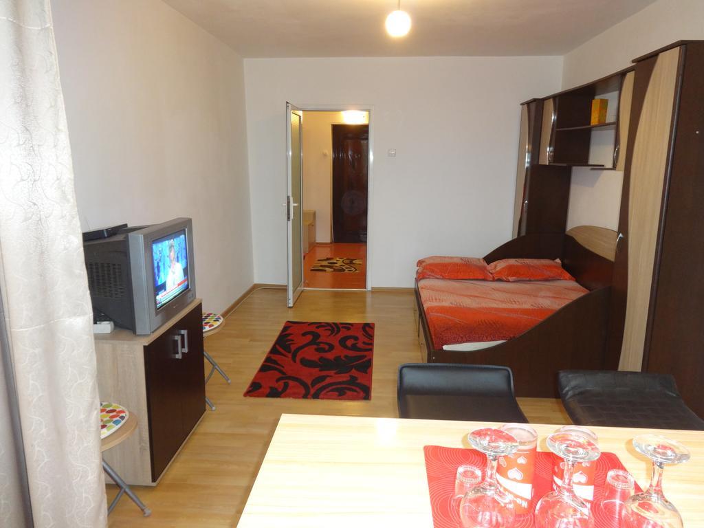 Alina Accommodation 加拉茨 外观 照片